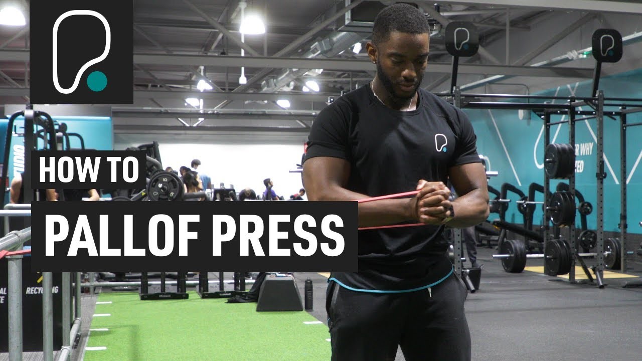 Cable Pallof Press