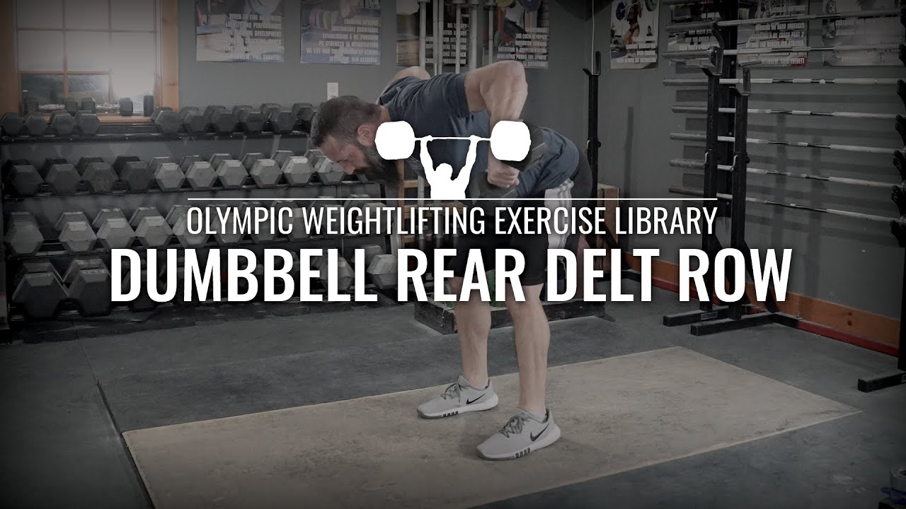 Dumbbell Rear Delt Row