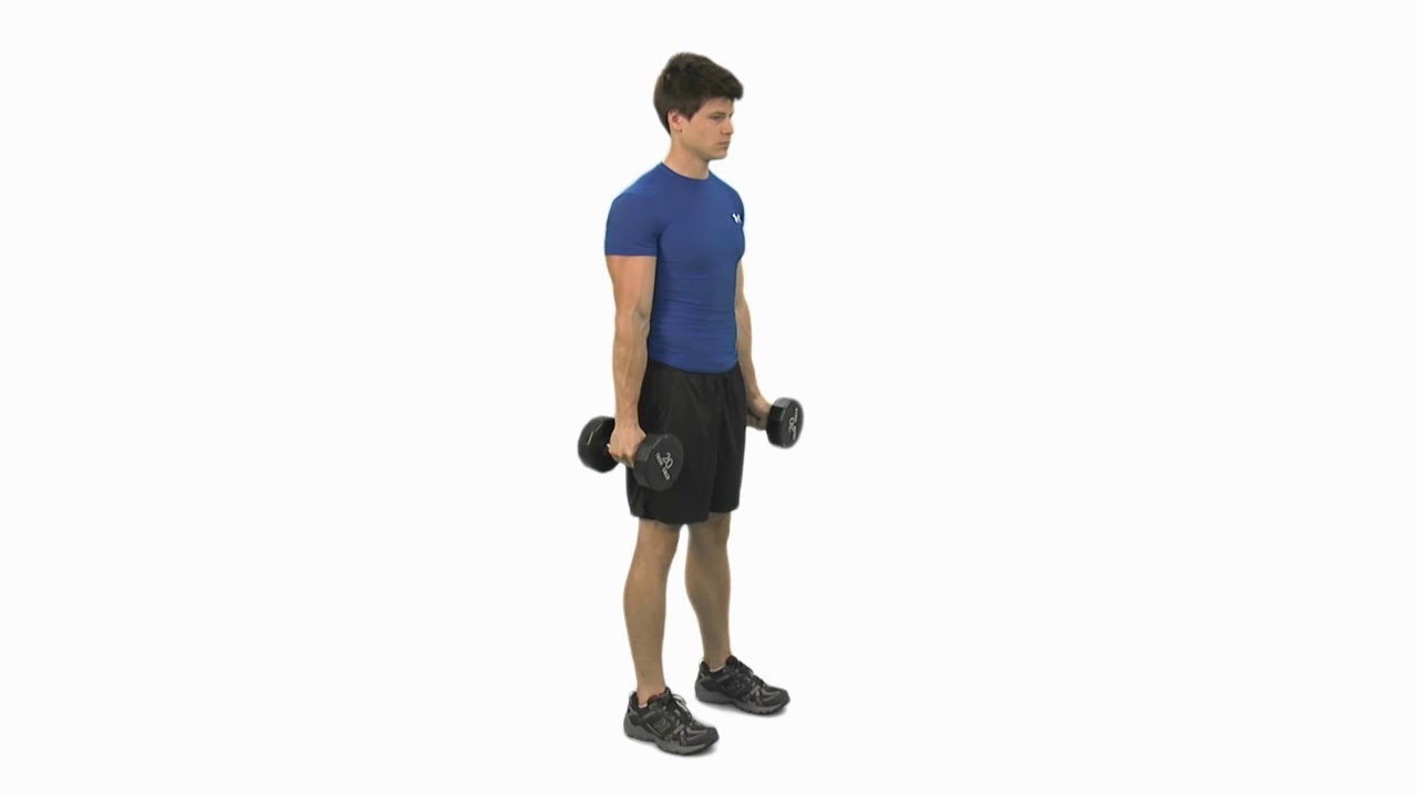 Hammer Curl (Dumbbell)