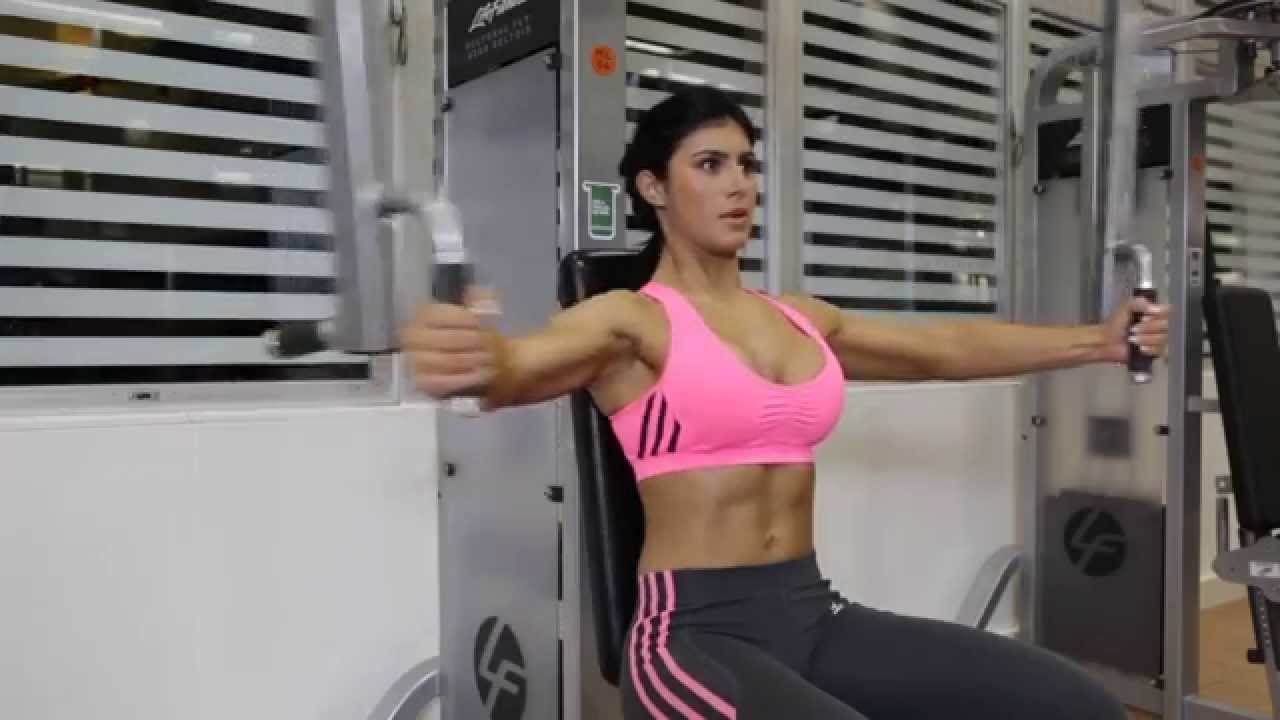 Pec Deck (Machine Fly)