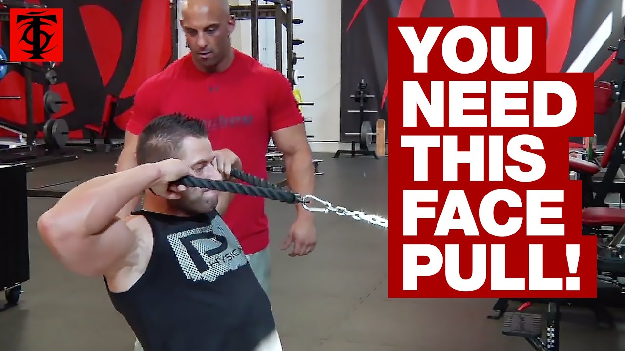 Seated Cable Face Pull